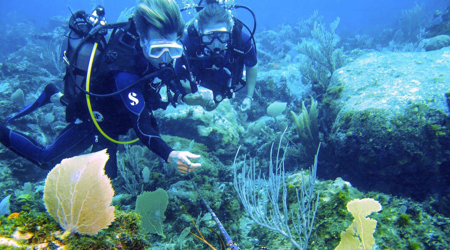 Uncover Underwater Wonders: Snorkeling Guide to St. Barts