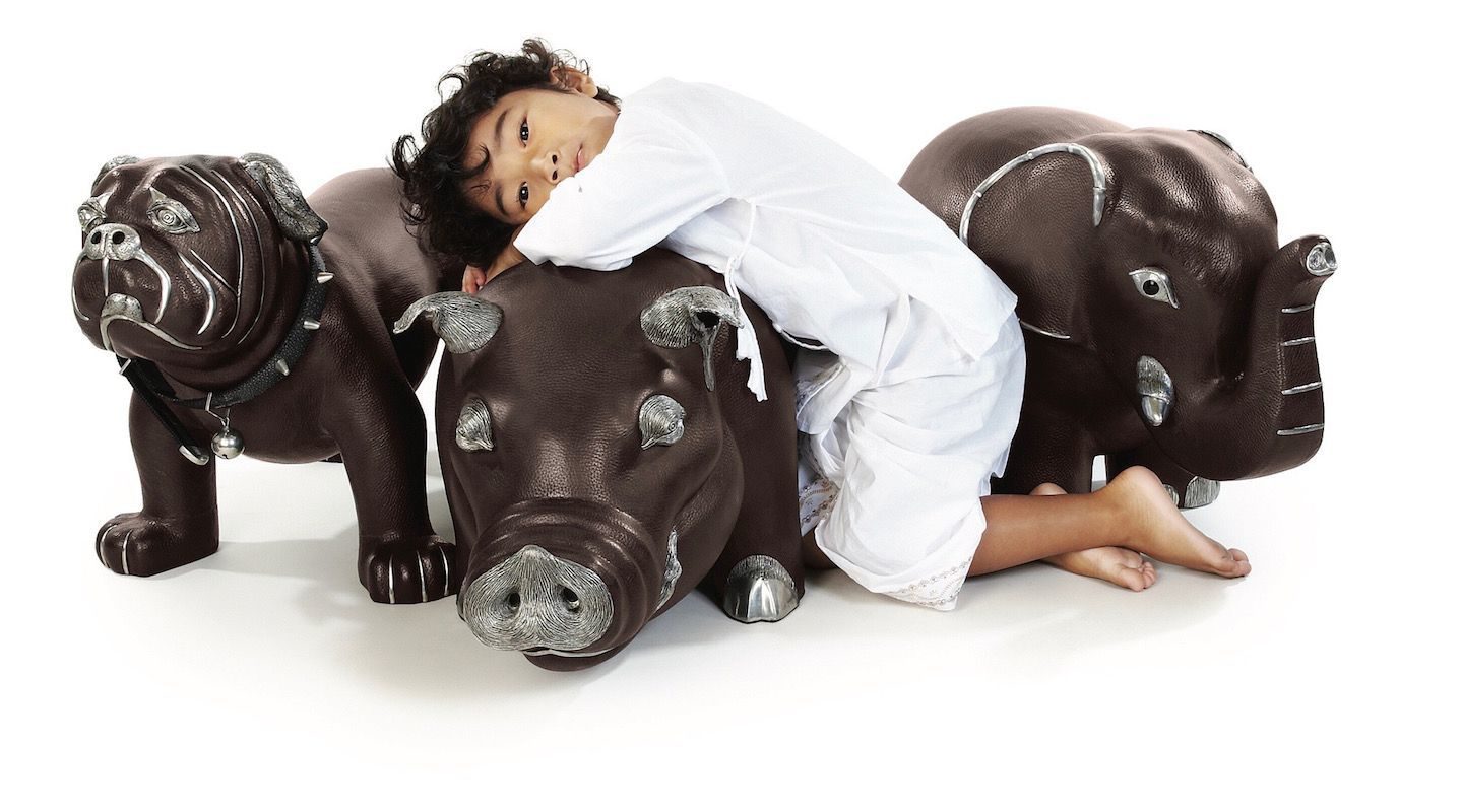 article-vue-chien-cochon-elephant-compressor