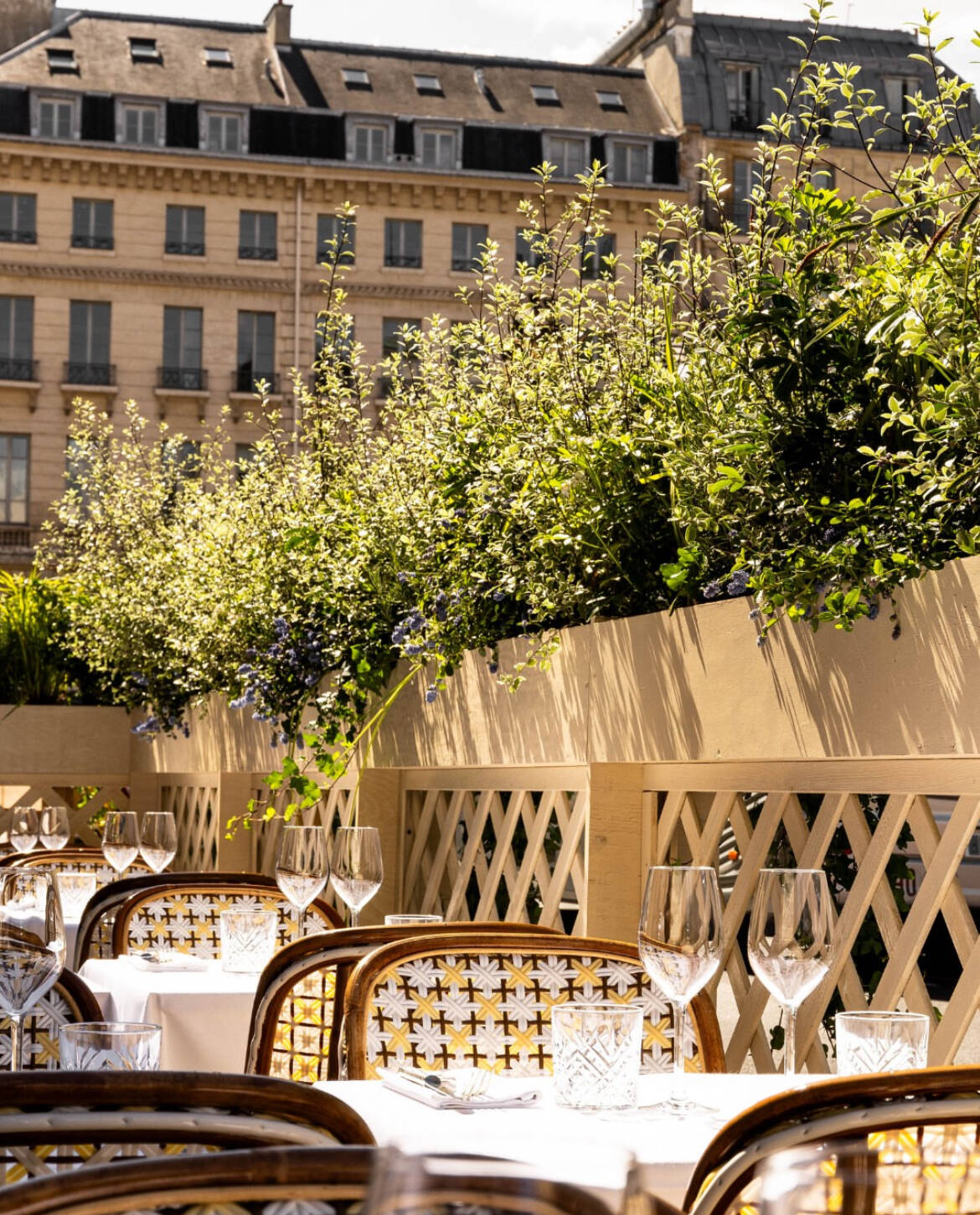 11-restaurant-paris-hollywood-savoy.jpg