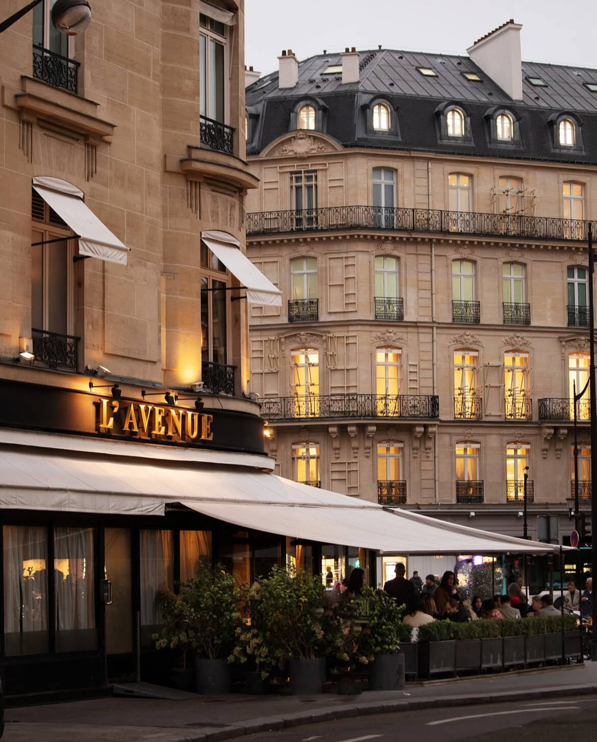 2-paris-restaurant-lavenue.jpg